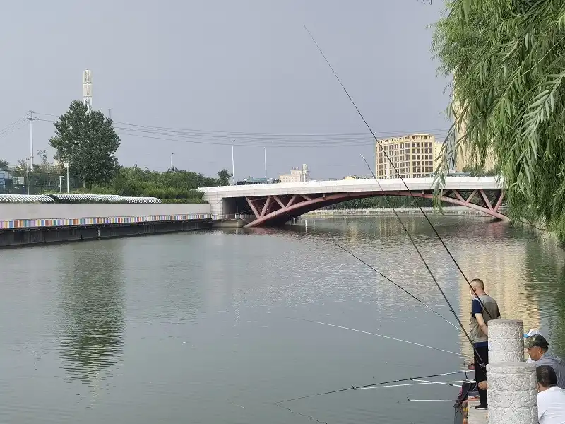 Xiaoqinghe Steel Structure Bridge.jpg