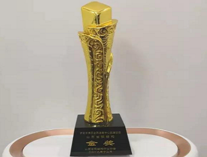 فاز مشروع مركز اللياقة البدنية الوطني في منطقة تشانغتشينغ الذي بنته مجموعة Guoshun بالميدالية الذهبية للهيكل الفولاذي في مقاطعة شاندونغ